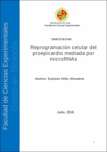 Miniatura