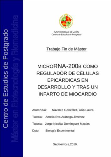 Miniatura